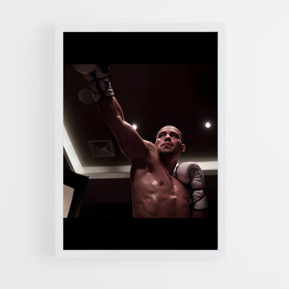 Poster Robin van Punchline – affiche Kick-boxing (vue 3)